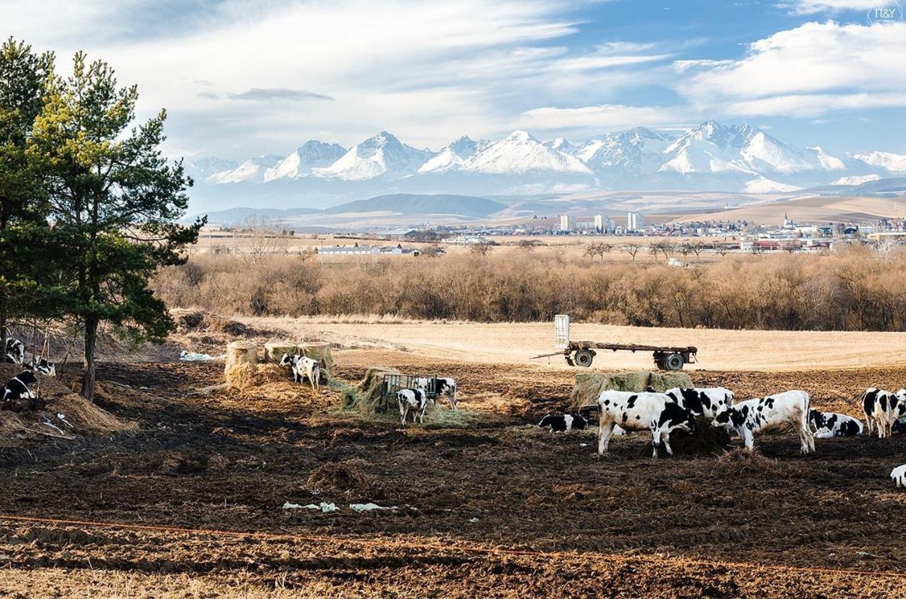 Apartmán Ala Spišská Nová Ves Esterno foto