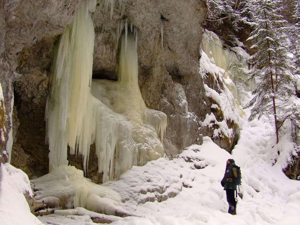 Apartmán Ala Spišská Nová Ves Esterno foto